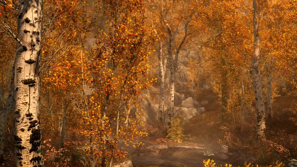 Skyrim Console Commands: How to Use, Most Useful, and Full List